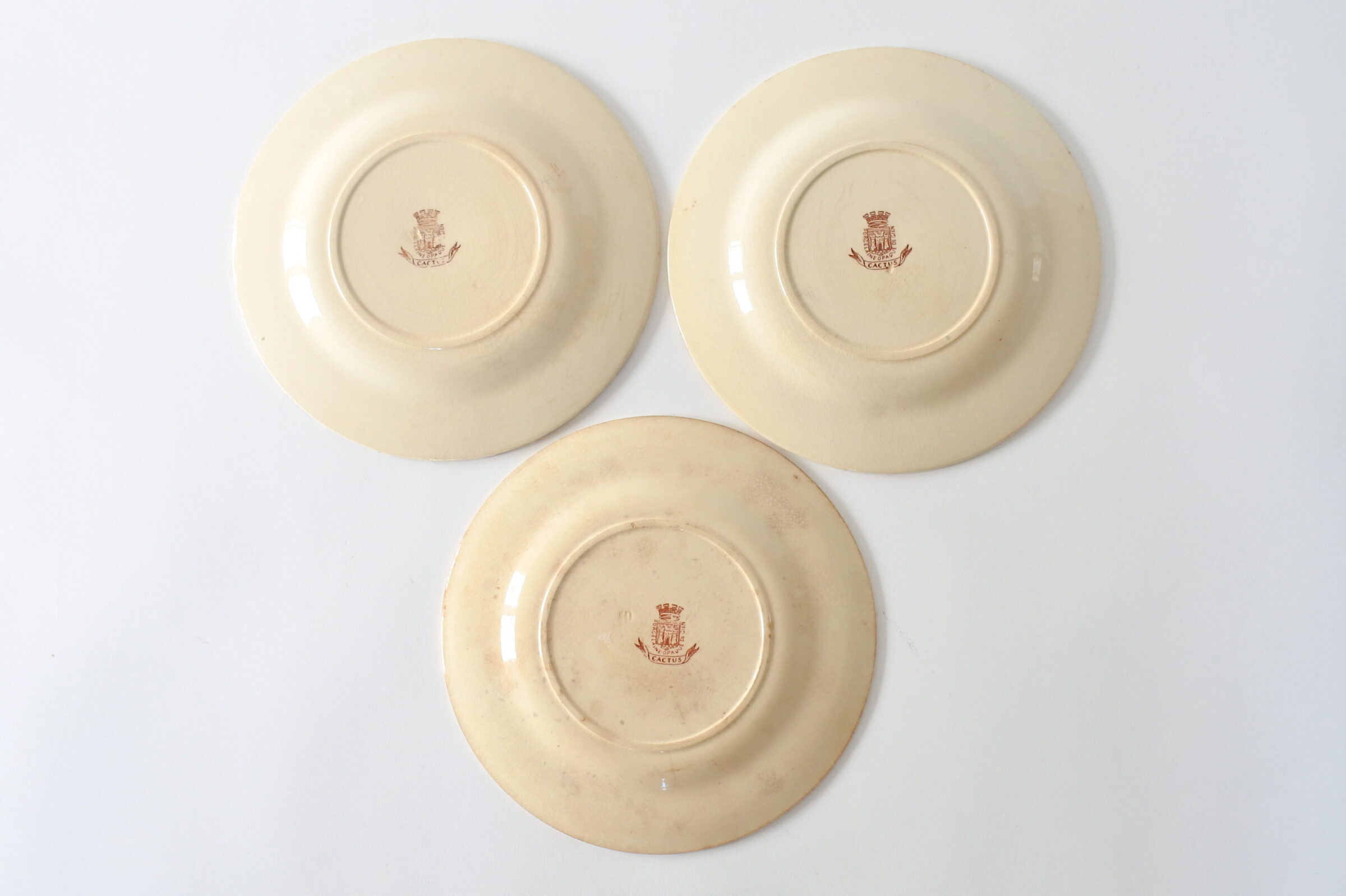 3 piatti in ceramica di Gien del 1878 con decoro policromo di cactus - 2